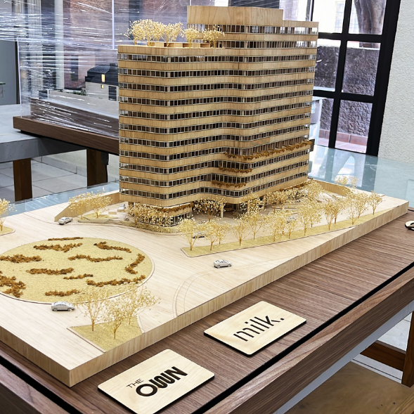 PROYECTO MILK LIFE INVESTMENTS (THE OWN QUERETARO)